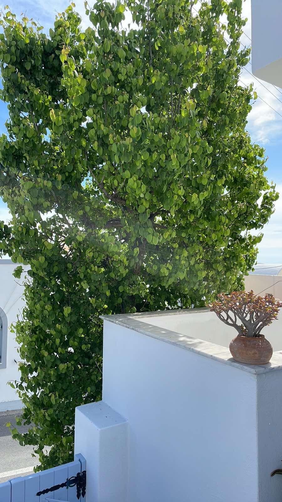 Elkaza Villas Fira  Exteriér fotografie